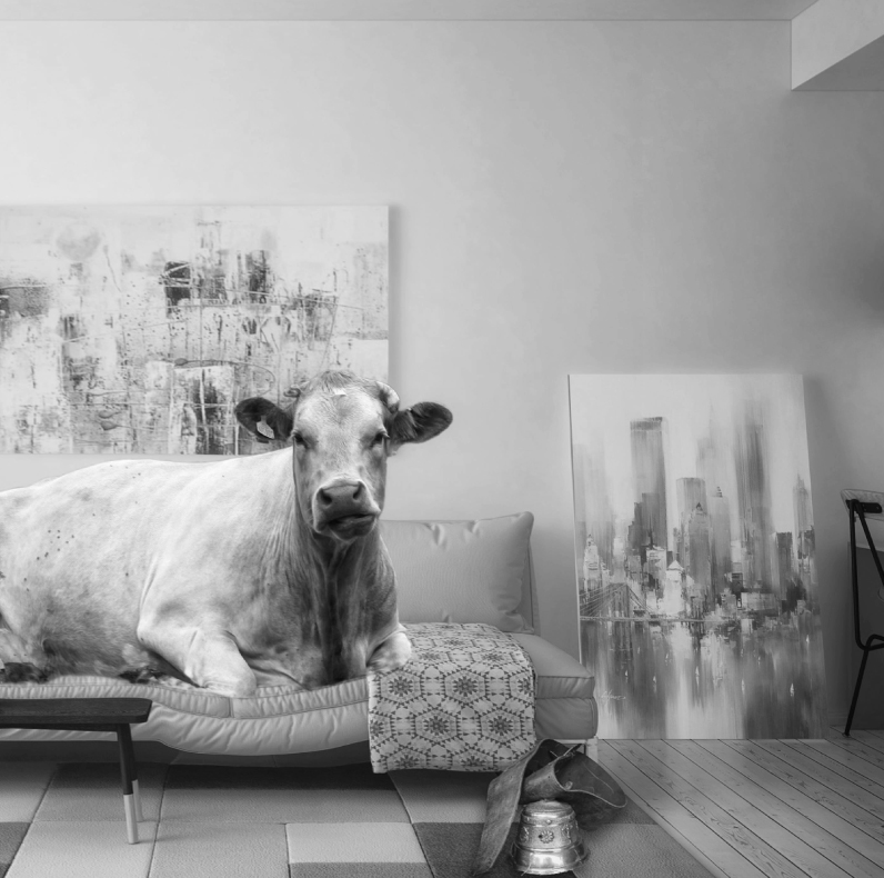 preguntas y respuestas